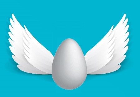 Flying Egg